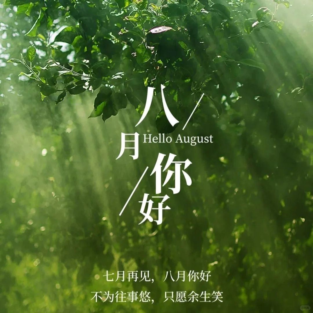 适合8月第一天发的图片