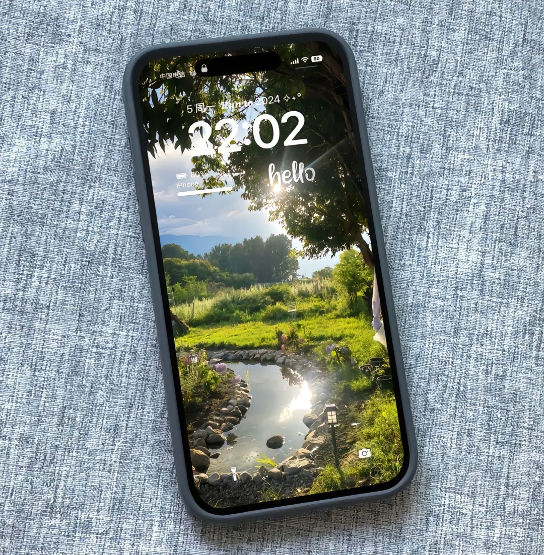 iPhone壁纸｜心向暖阳 梦绽芬芳