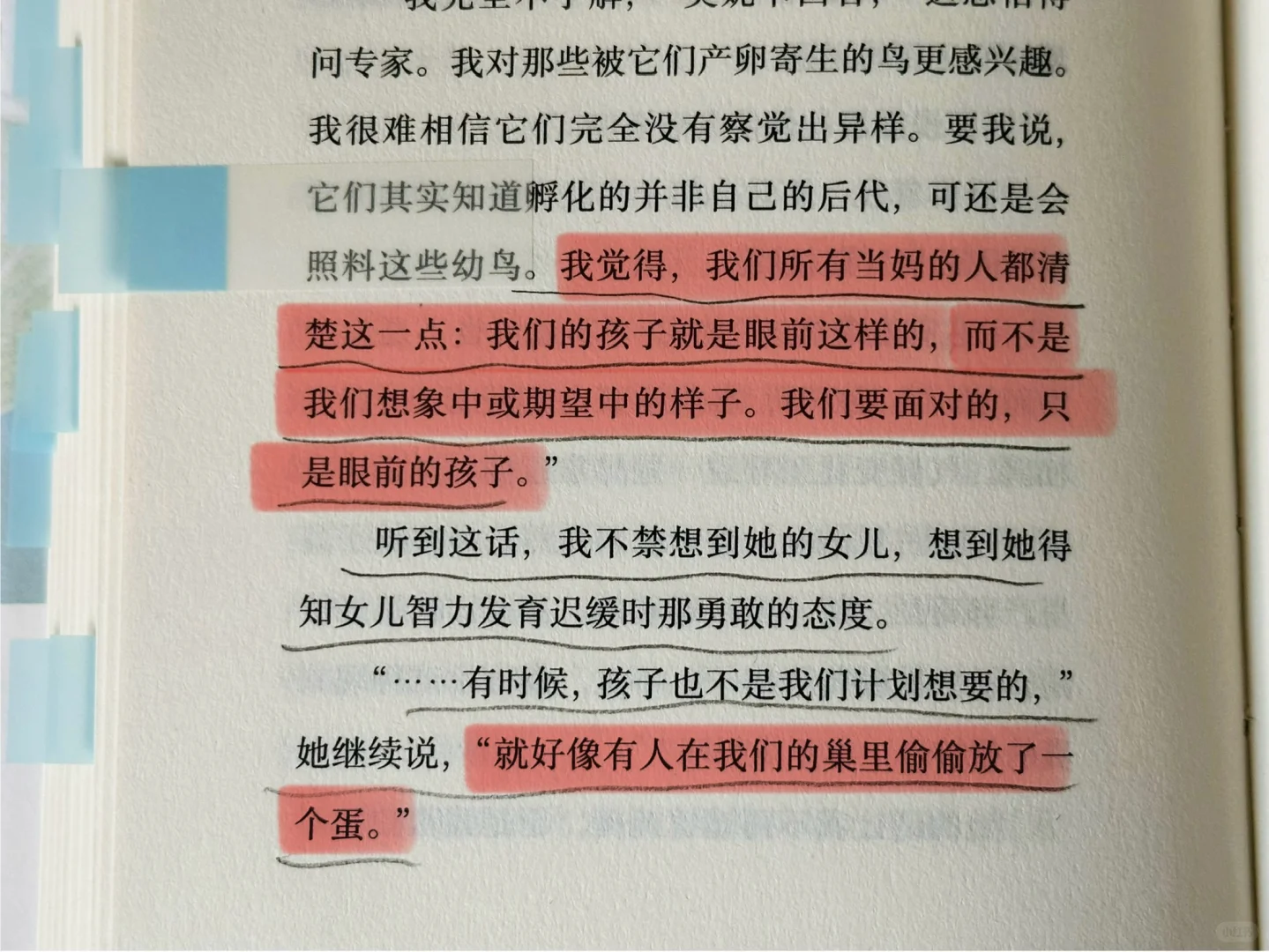 拉美女作家的文笔好生猛啊！超爱！