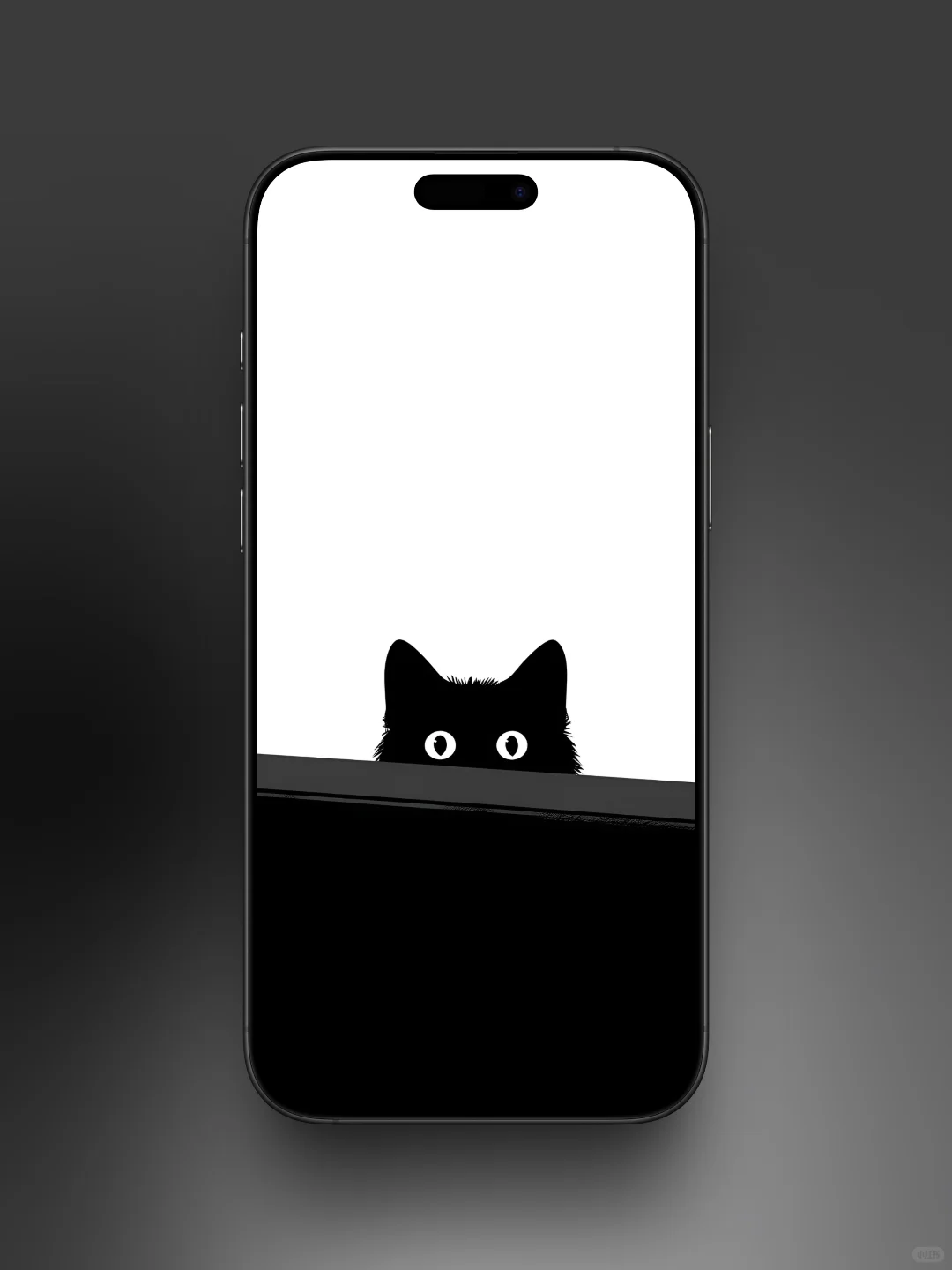 每日壁纸分享｜躲猫猫