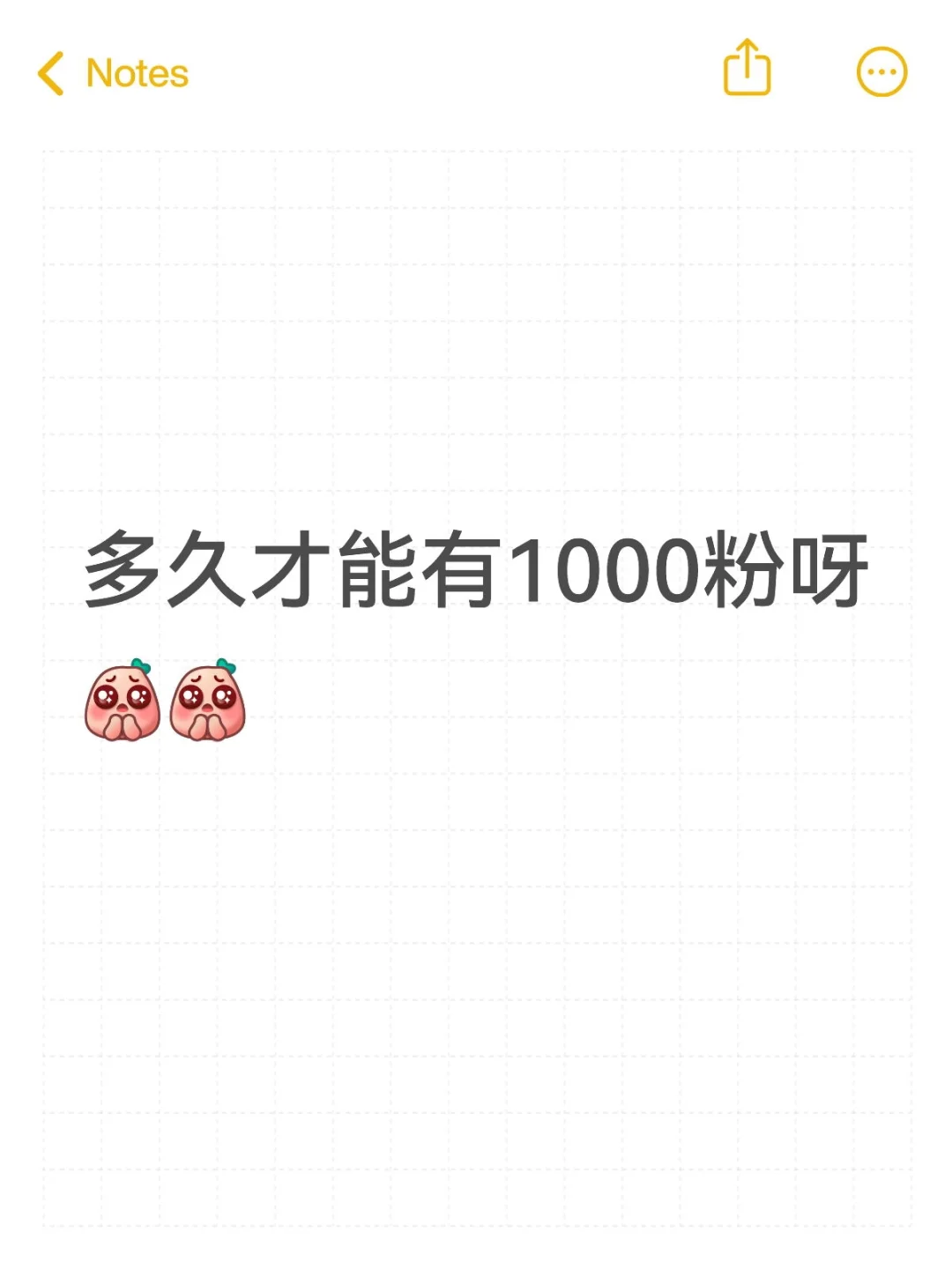 新号呀