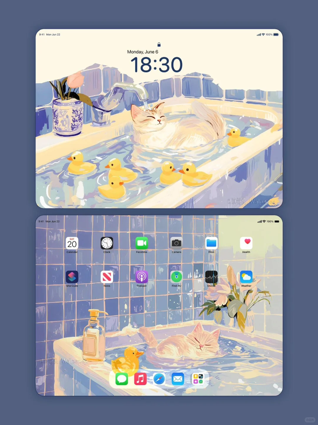 iPad精美壁纸✨️