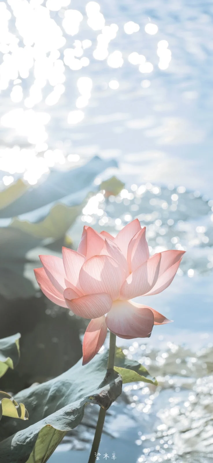 绝美能量壁纸