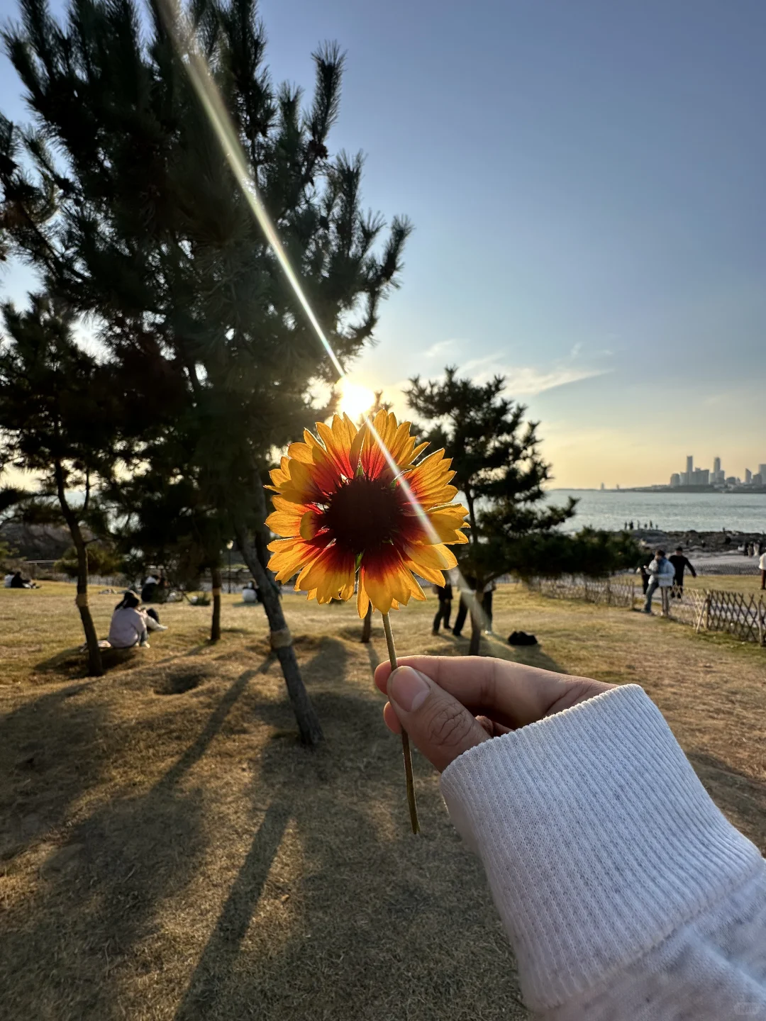 18张太阳光氛围感高质live图 喜欢直接拿