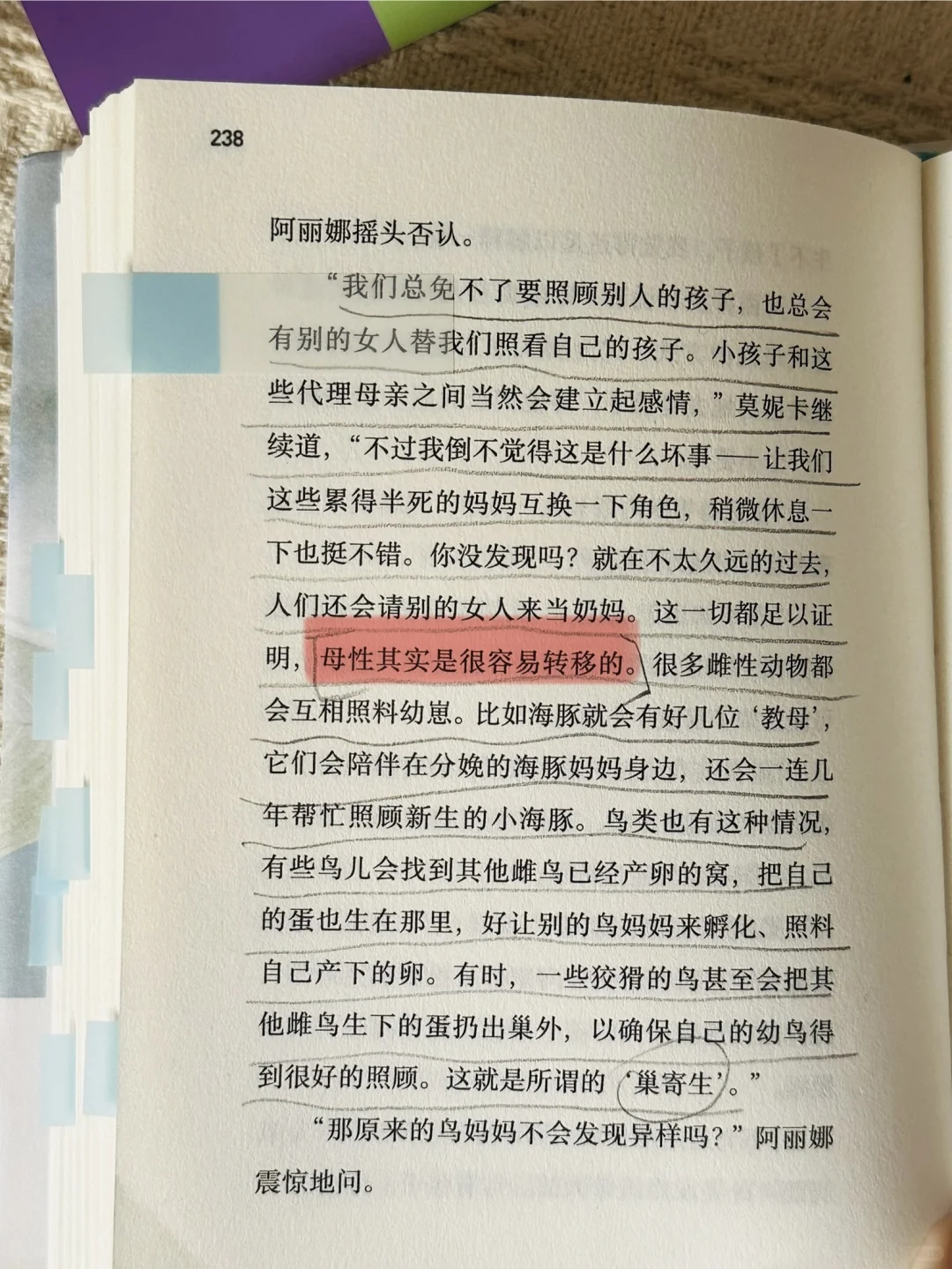 拉美女作家的文笔好生猛啊！超爱！