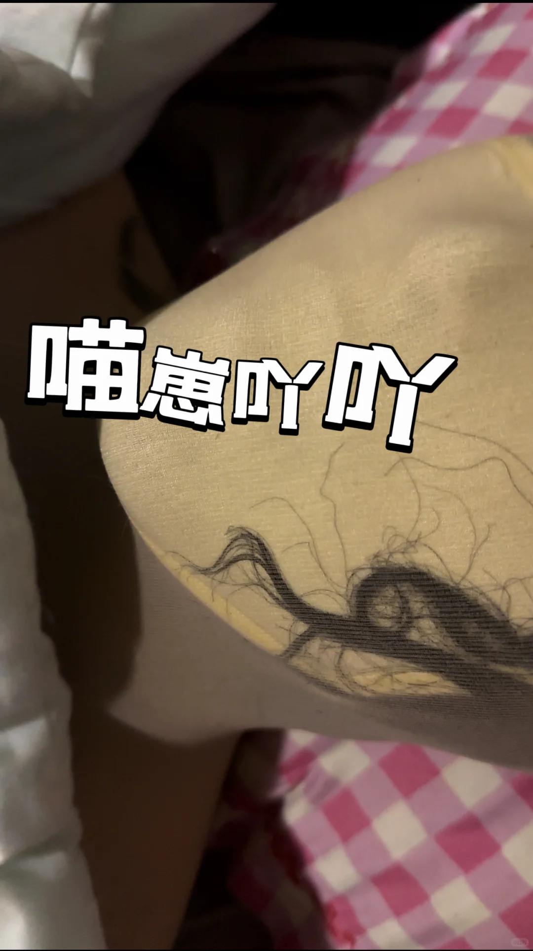 被困小猫🐱
