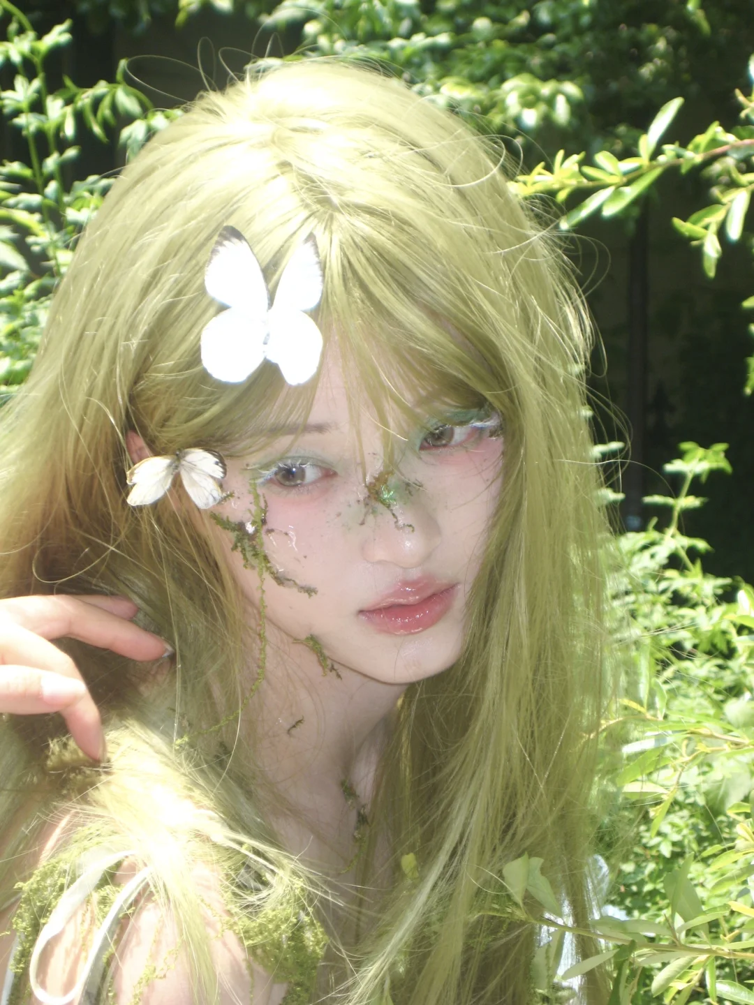 Green butterfly🍃🤍