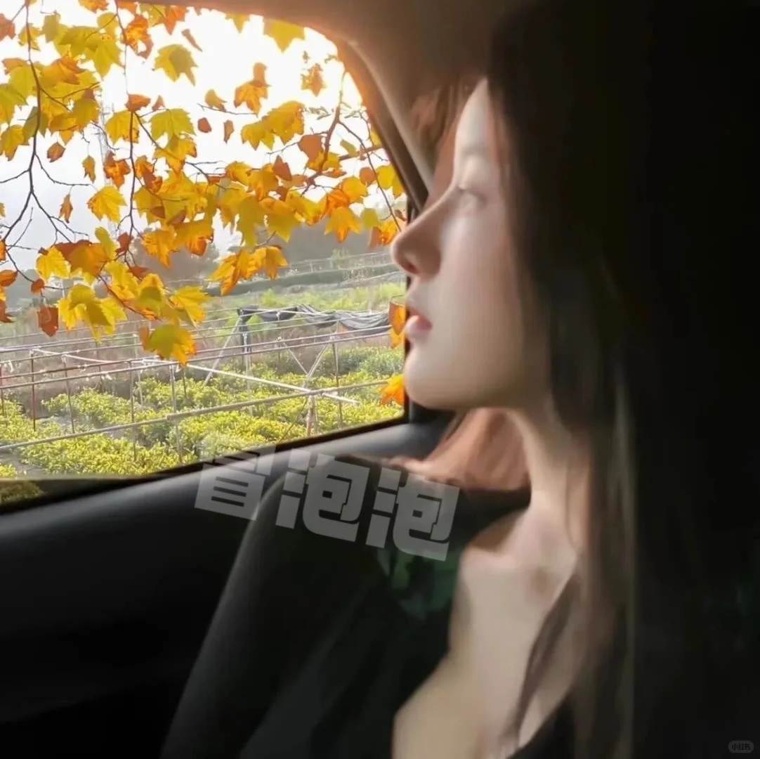 𝗪𝗲𝗖𝗵𝗮𝘁丨甜美系女头