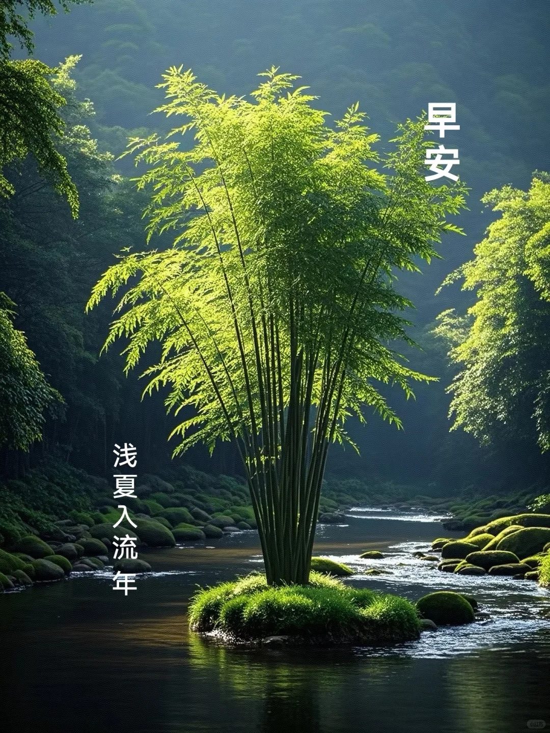 八月大吉！