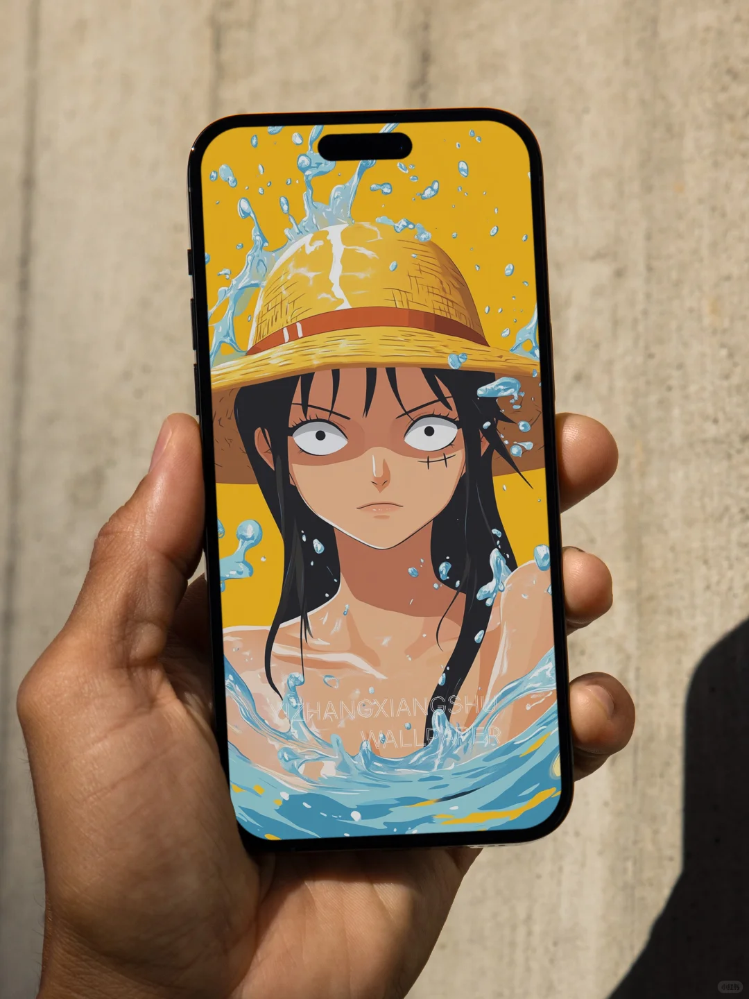 每日壁纸｜海贼王