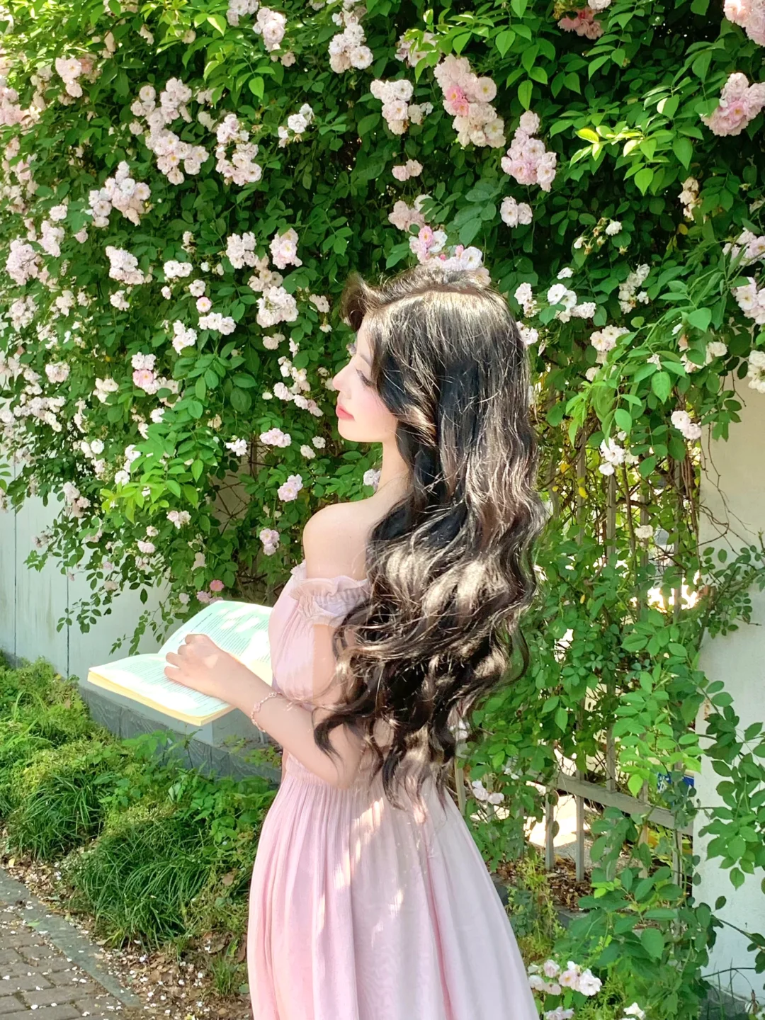 🌸₊⊹˚ 𝘈𝘳𝘰𝘮𝘢 𝘰𝘧 𝘷𝘪𝘰𝘭𝘦𝘵 ‧₊˚