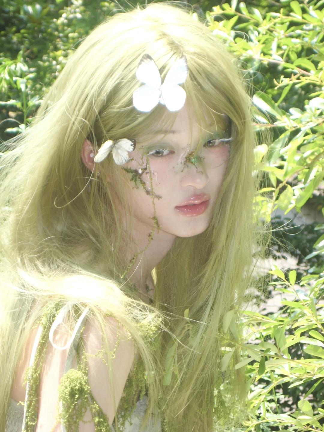 Green butterfly🍃🤍