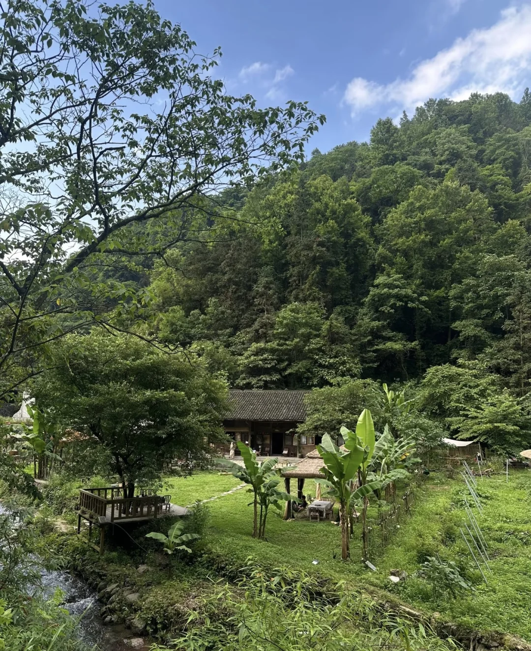 找喜欢院子的对象，本人女30+ 长相温婉