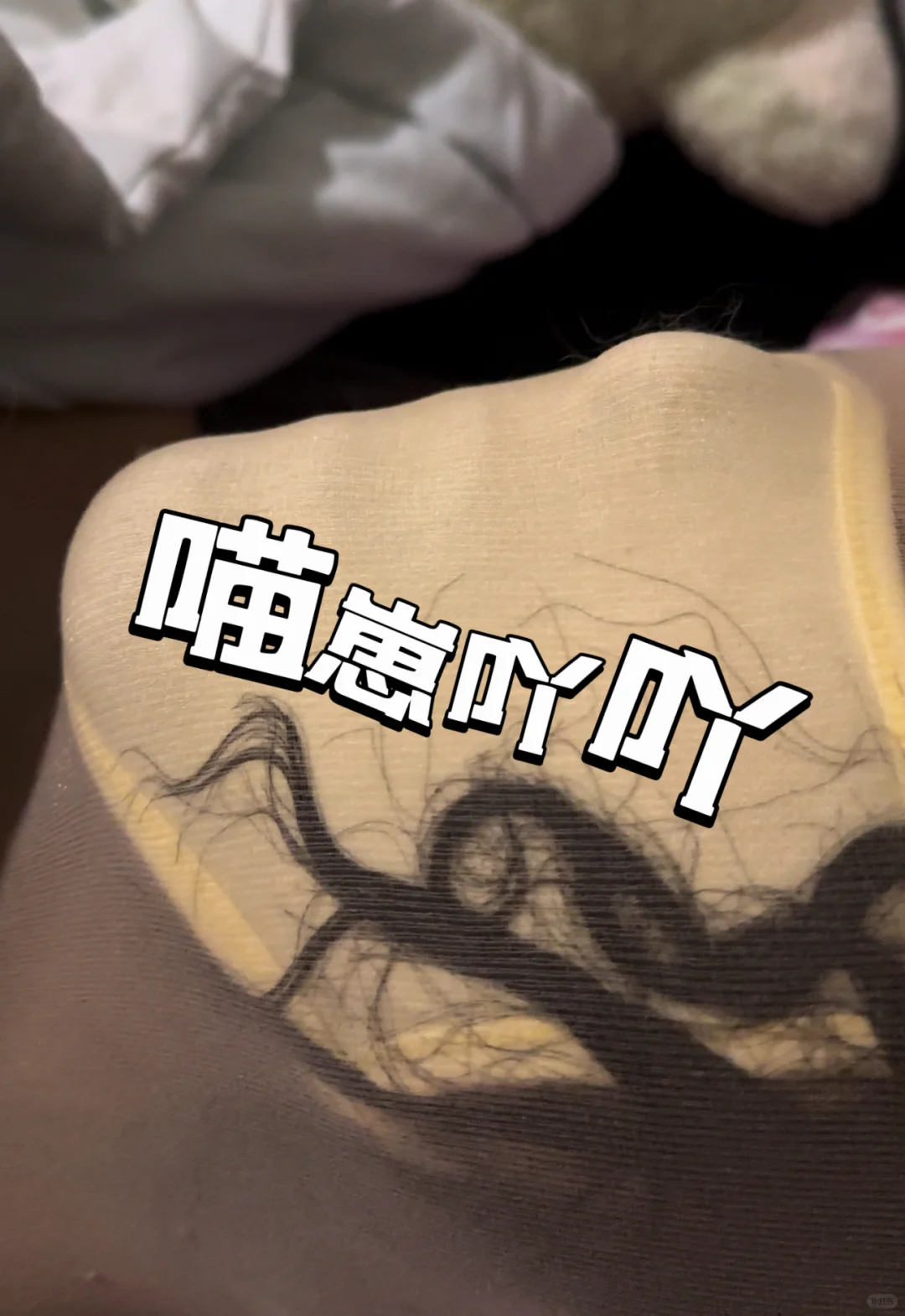 被困小猫🐱