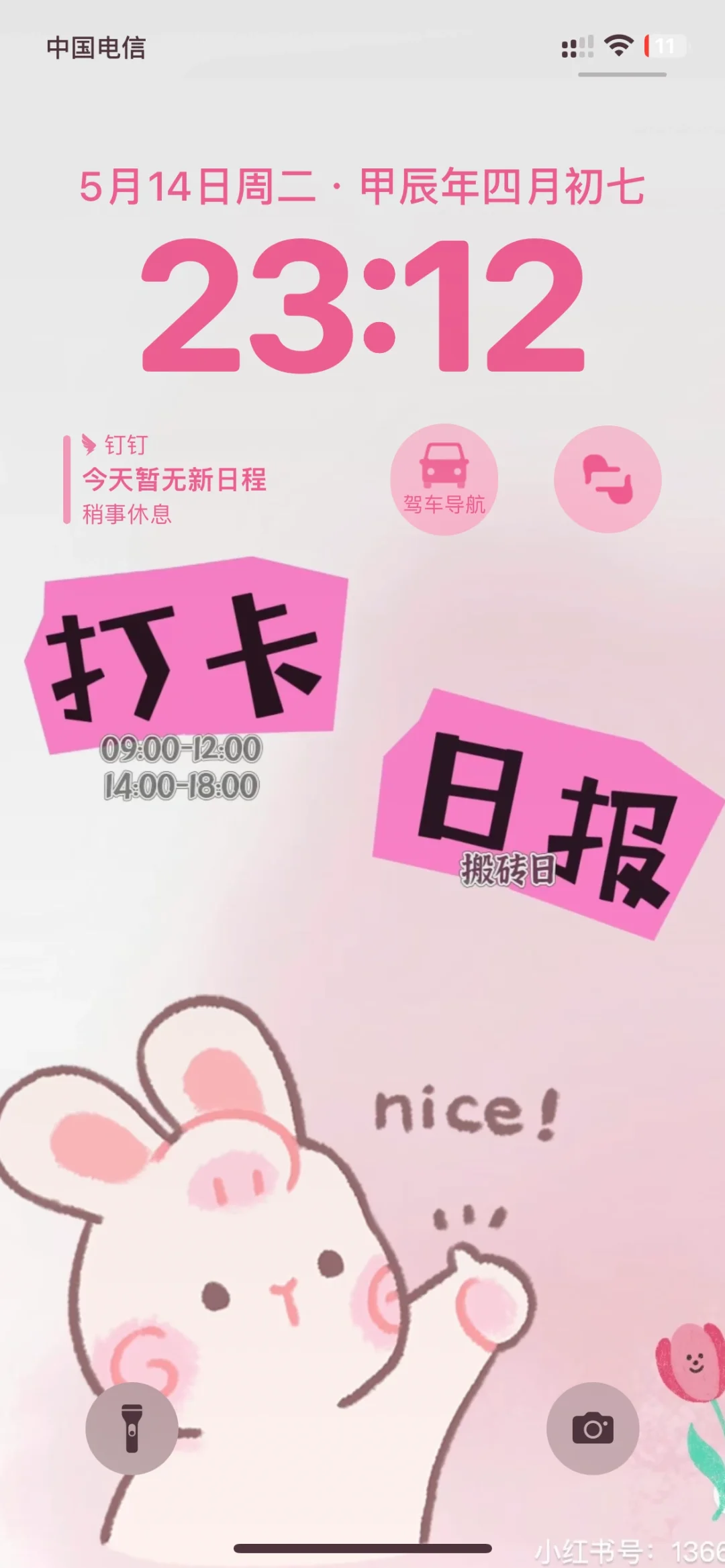 打卡 写日报