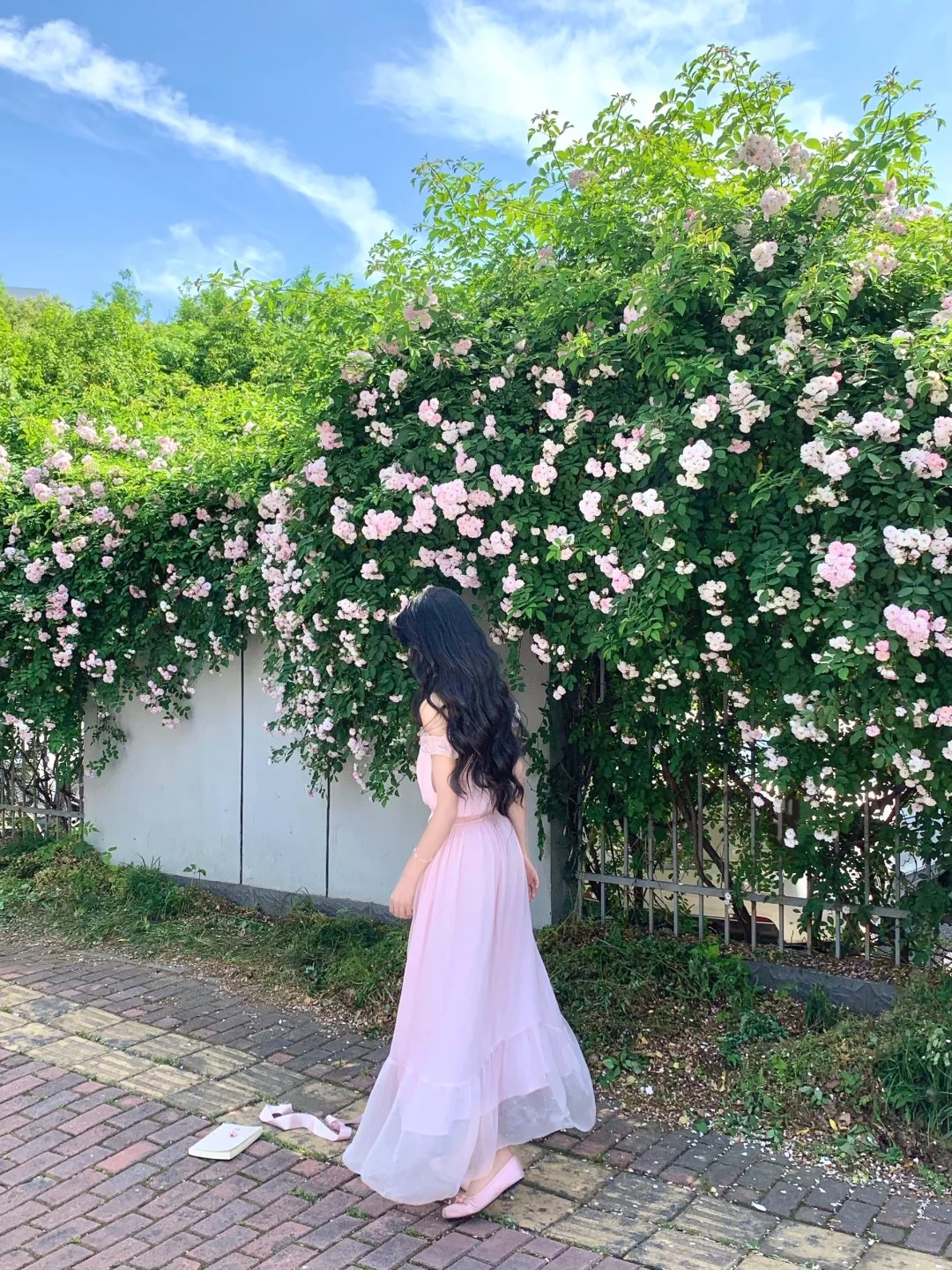 🌸₊⊹˚ 𝘈𝘳𝘰𝘮𝘢 𝘰𝘧 𝘷𝘪𝘰𝘭𝘦𝘵 ‧₊˚