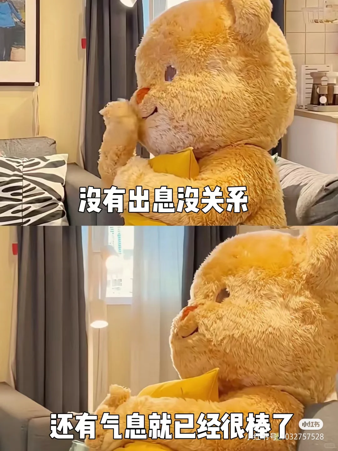 运动520