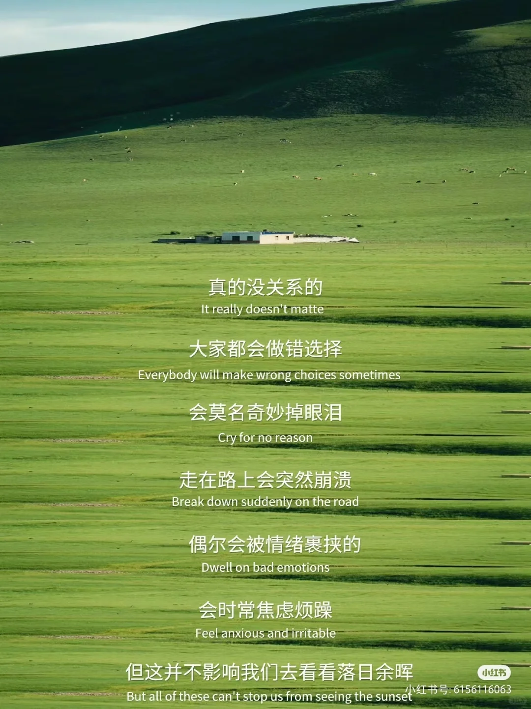 果然单身未婚女性都是别人手里的资源