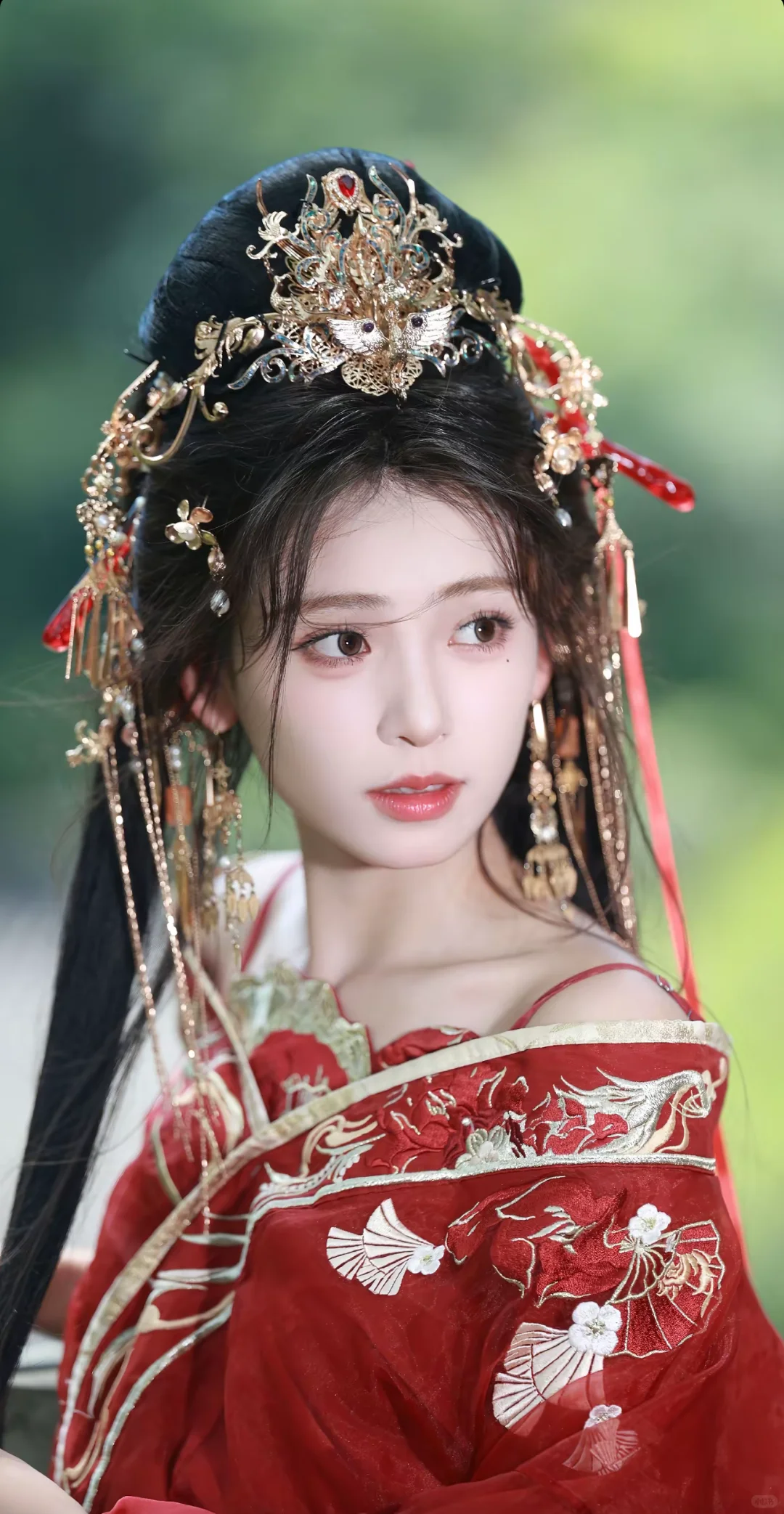 龙虾绝美特写