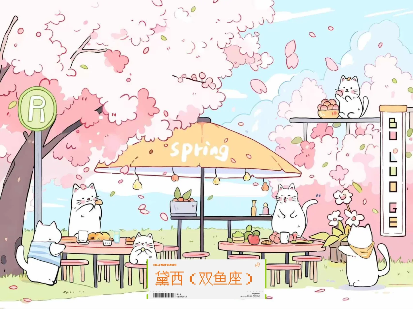 平板不同风格壁纸（禁止二次🚫转发）