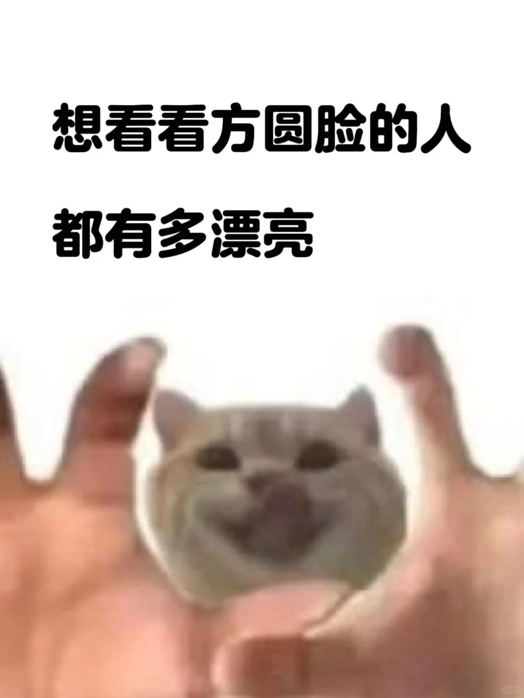 想看看方圆脸的人有多漂亮！