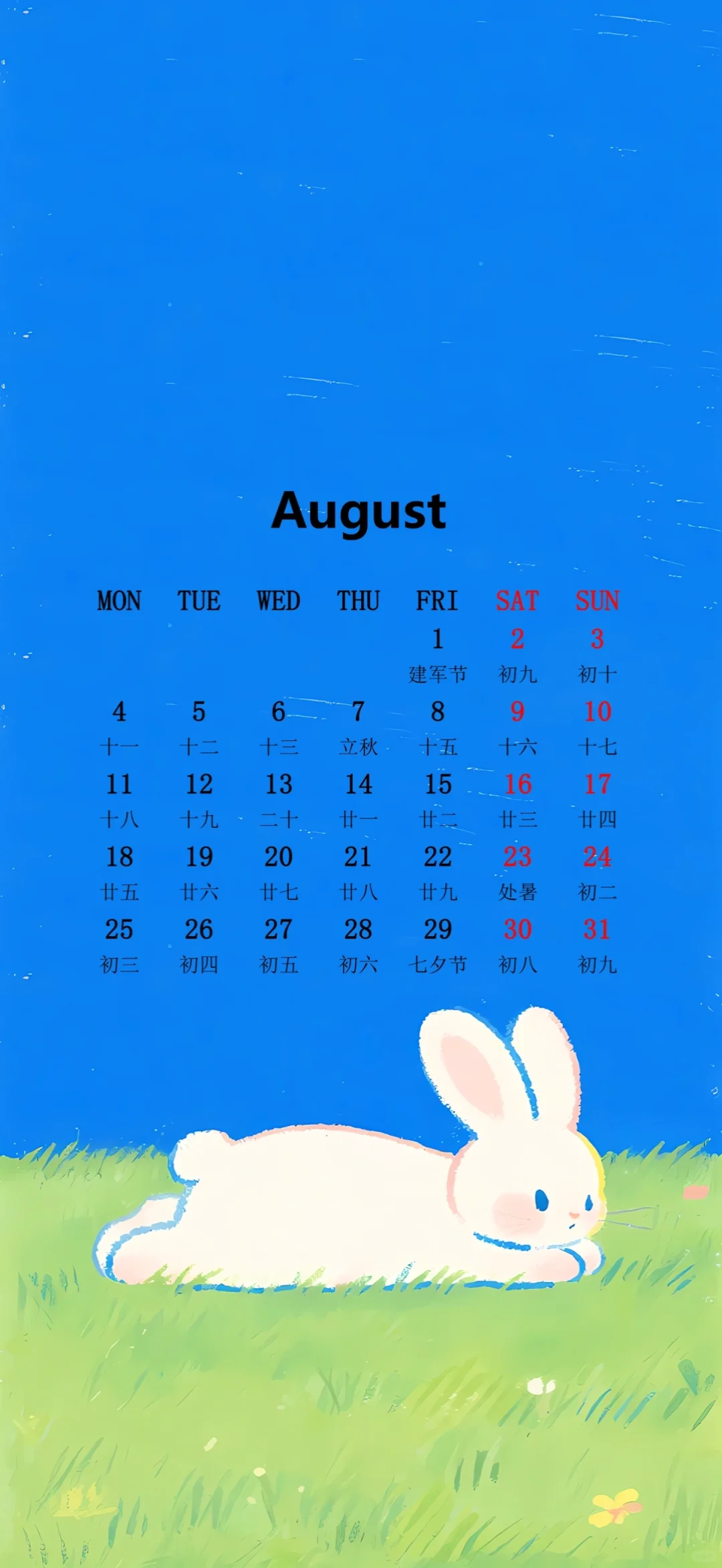 八月日历壁纸～