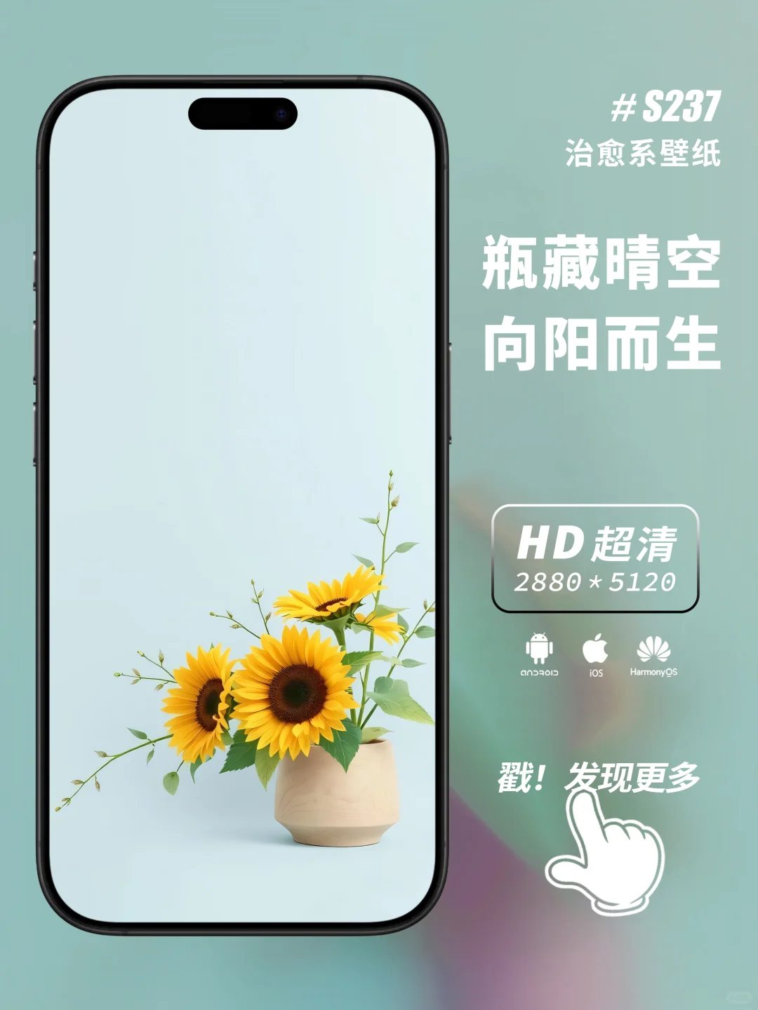 壁纸 | 今天的风是向日葵味的