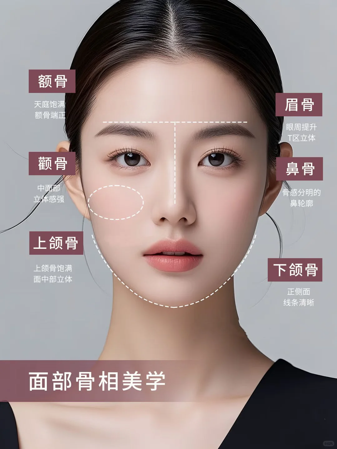 骨相美学💉