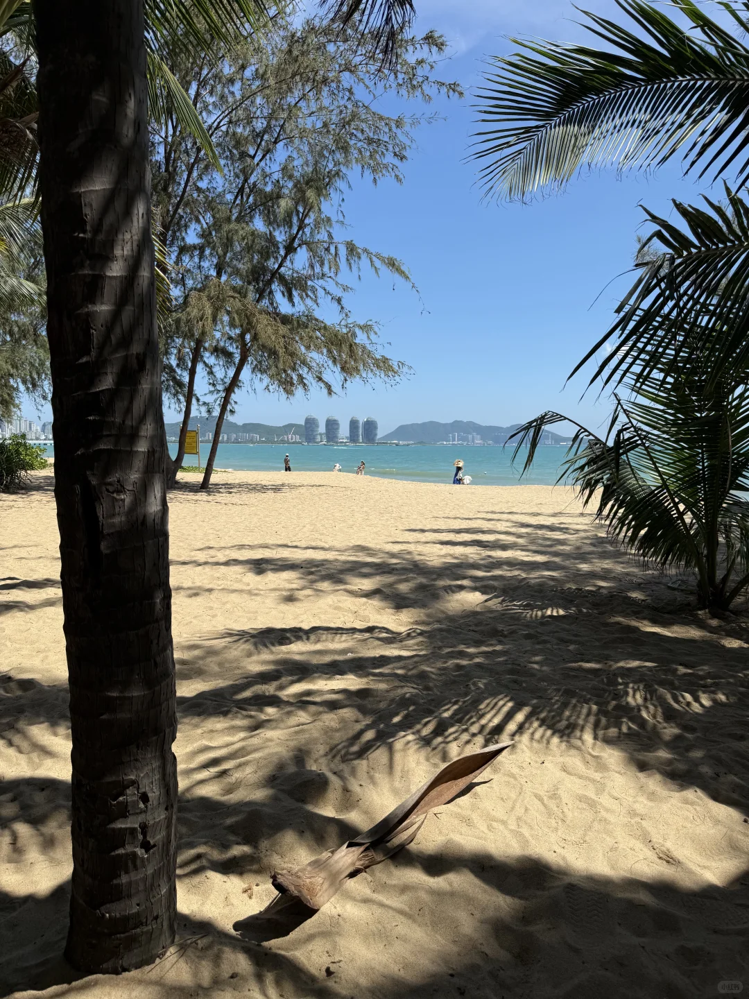 🐋✨海边度假日记🥥🏖