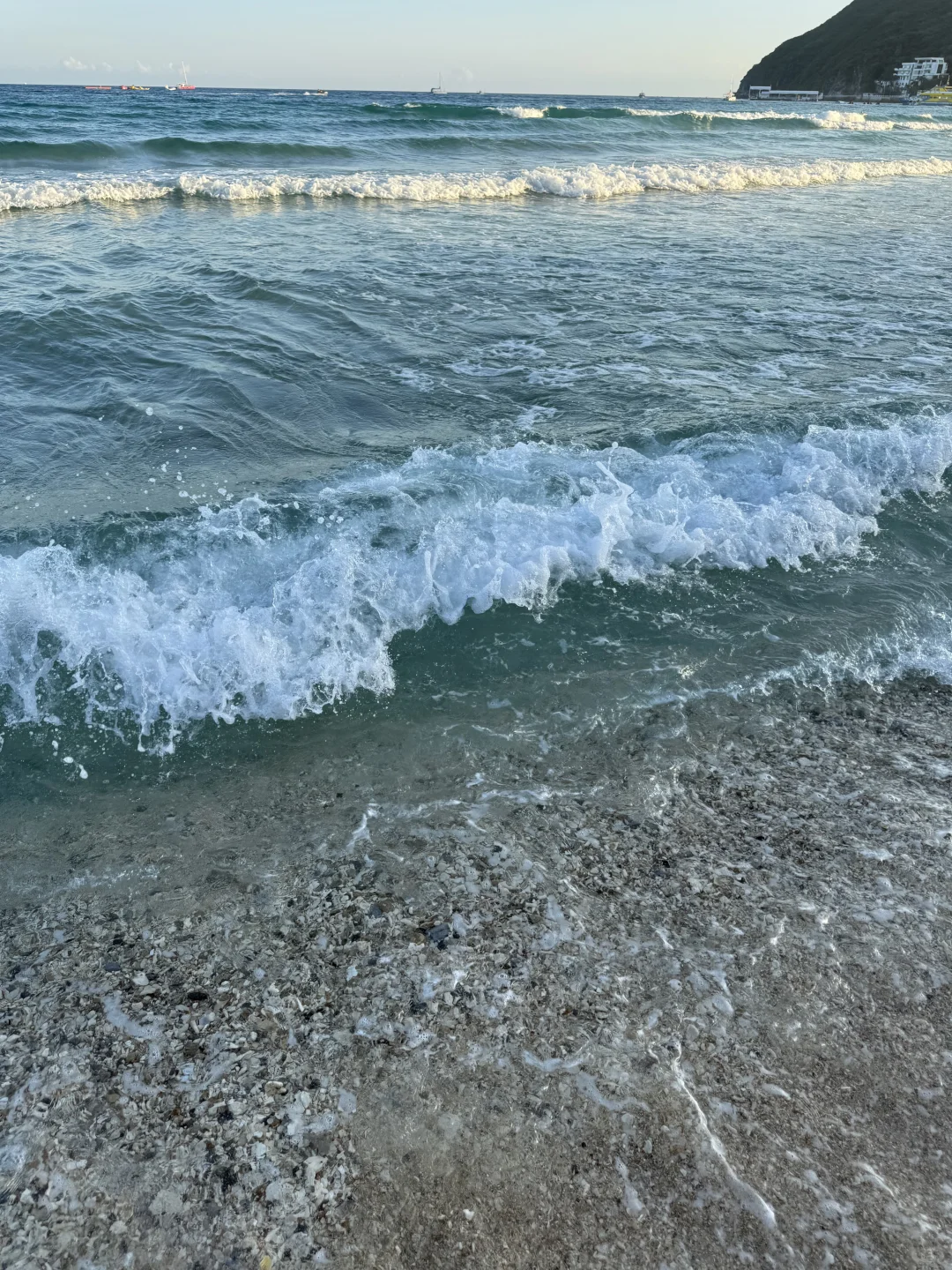 🐋✨海边度假日记🥥🏖