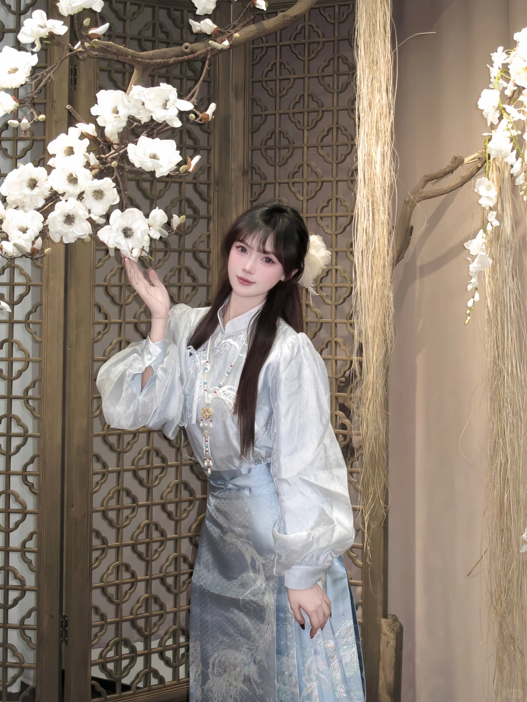 老爷 小姐又买新衣裳了