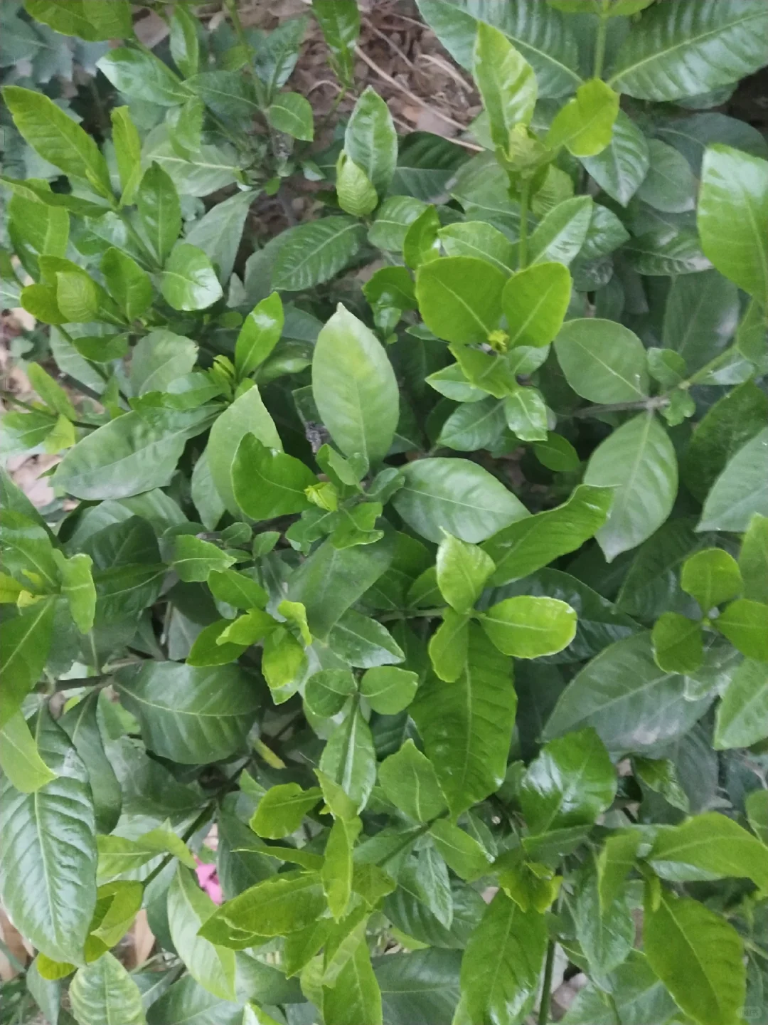 干干净净才算绝色 我这样的算嘛
