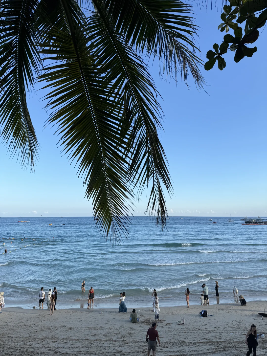 🐋✨海边度假日记🥥🏖