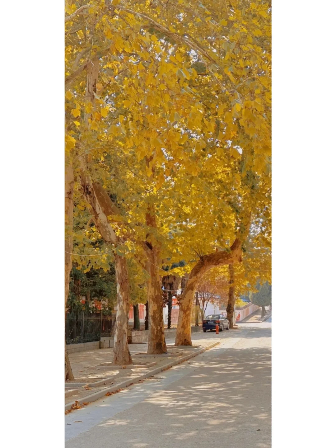 小众风壁纸