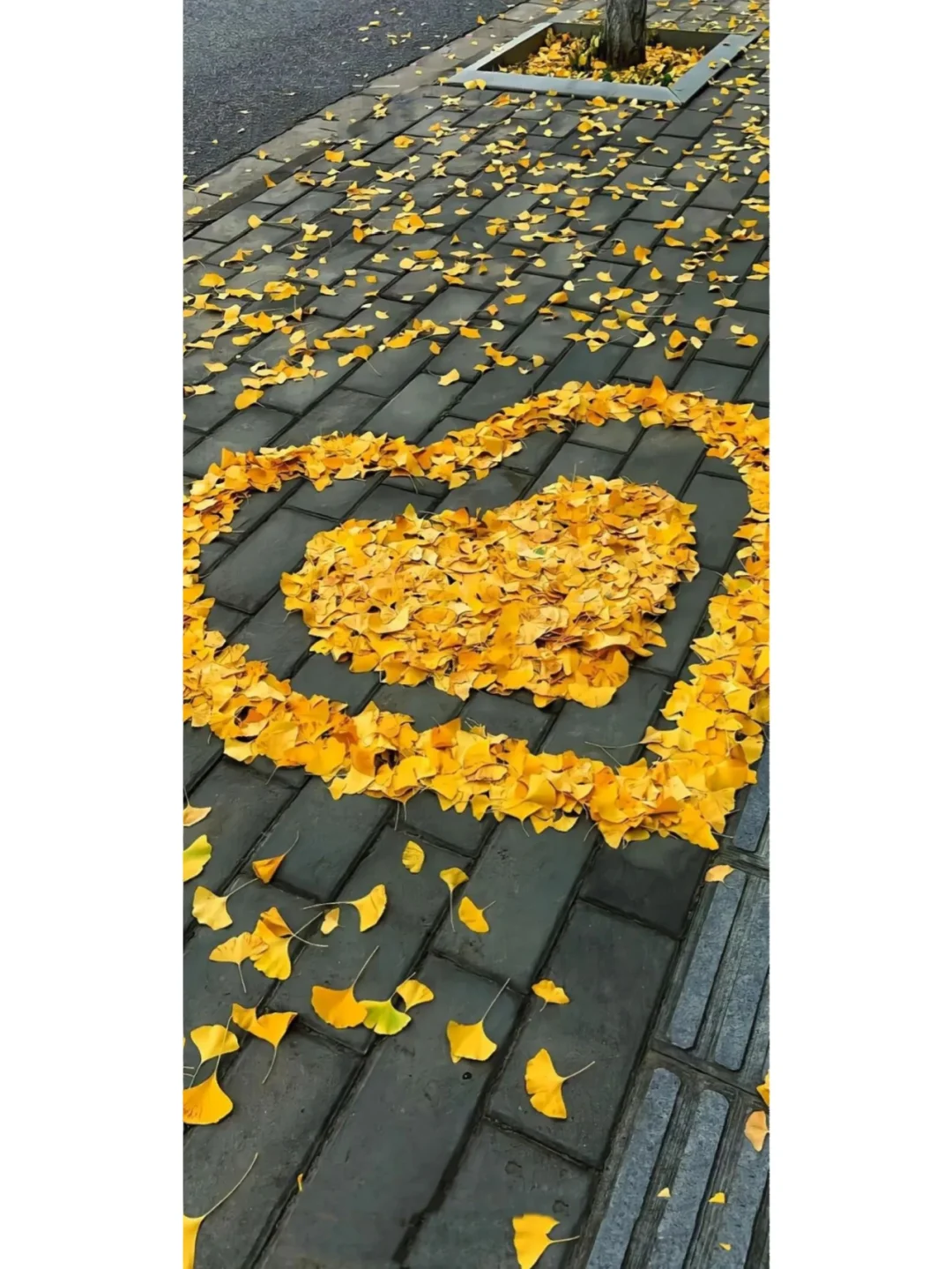 小众风壁纸