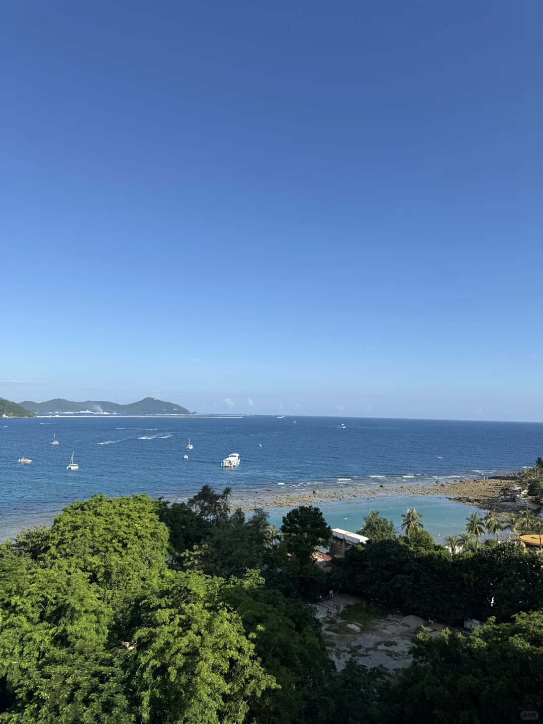 🐋✨海边度假日记🥥🏖