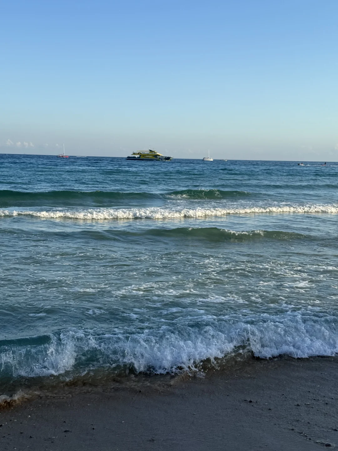 🐋✨海边度假日记🥥🏖