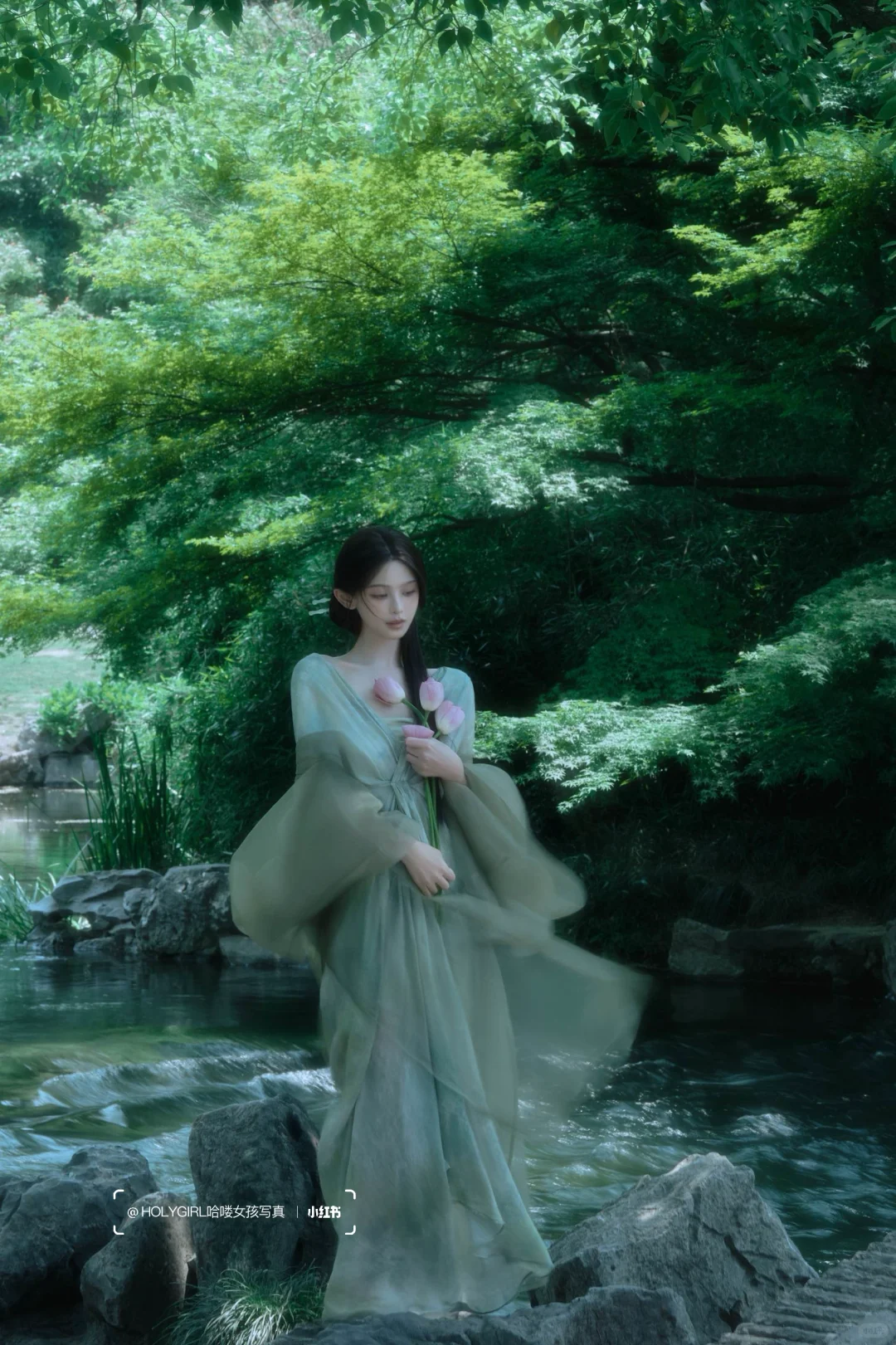 清冷感荷花写真｜“人闲花影，一梦江南”