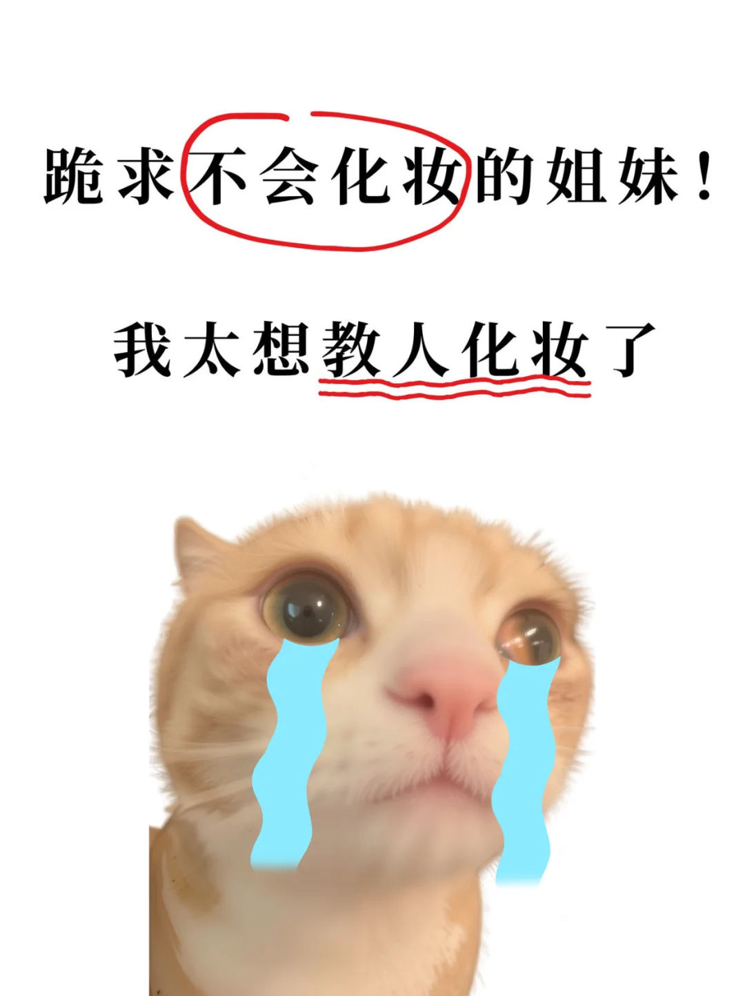 方圆脸真的好美！寻99位姐妹看脸风格诊