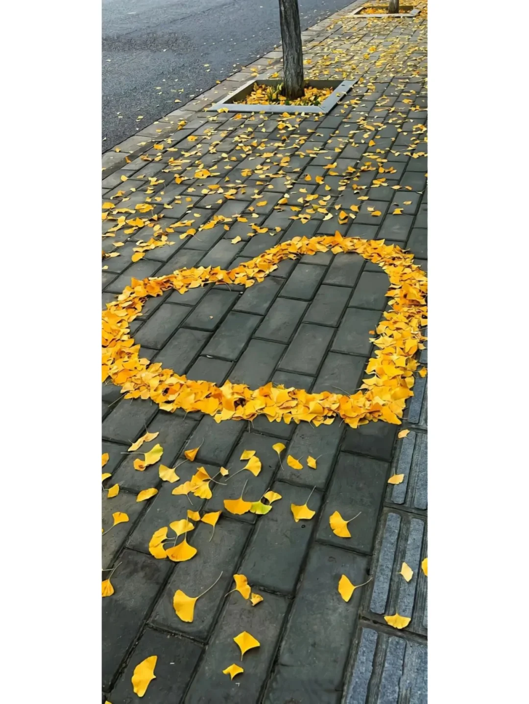 小众风壁纸