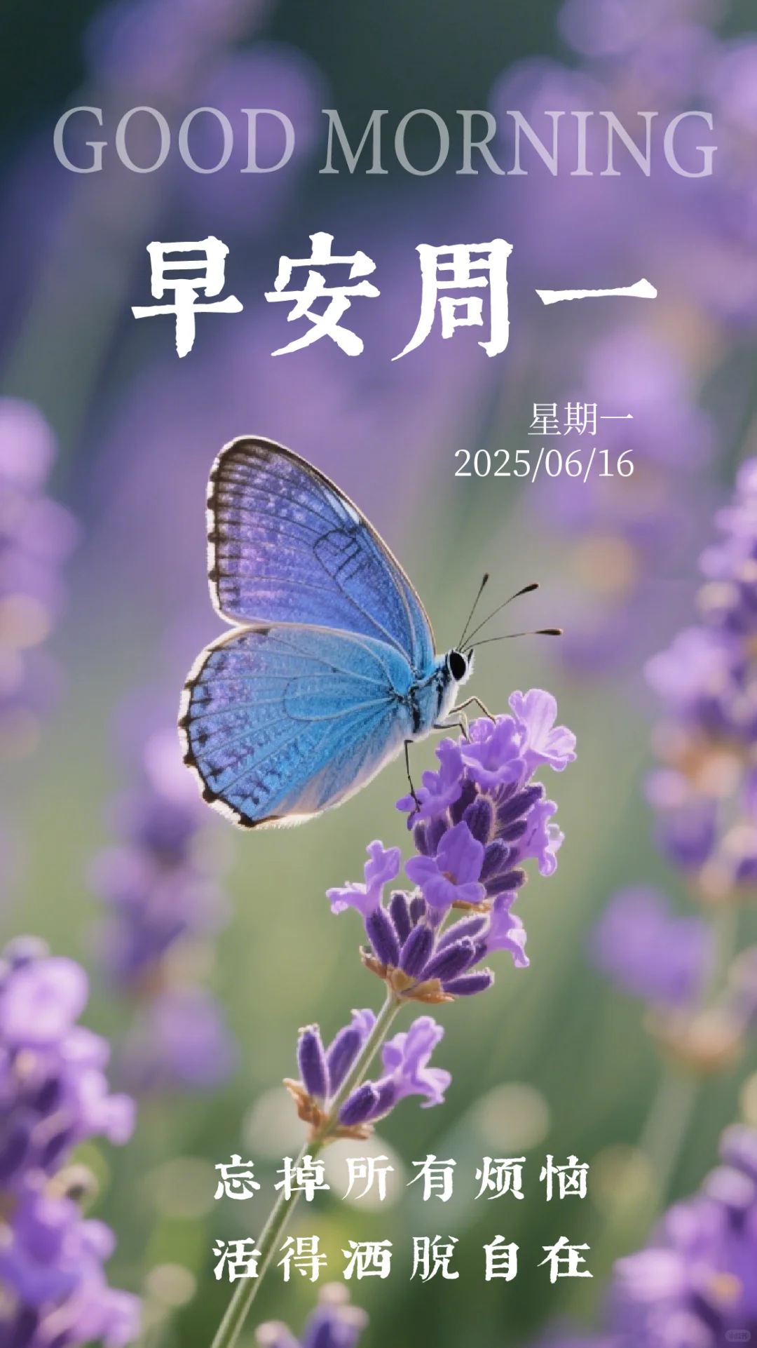 6月16日周一早安壁纸祝福