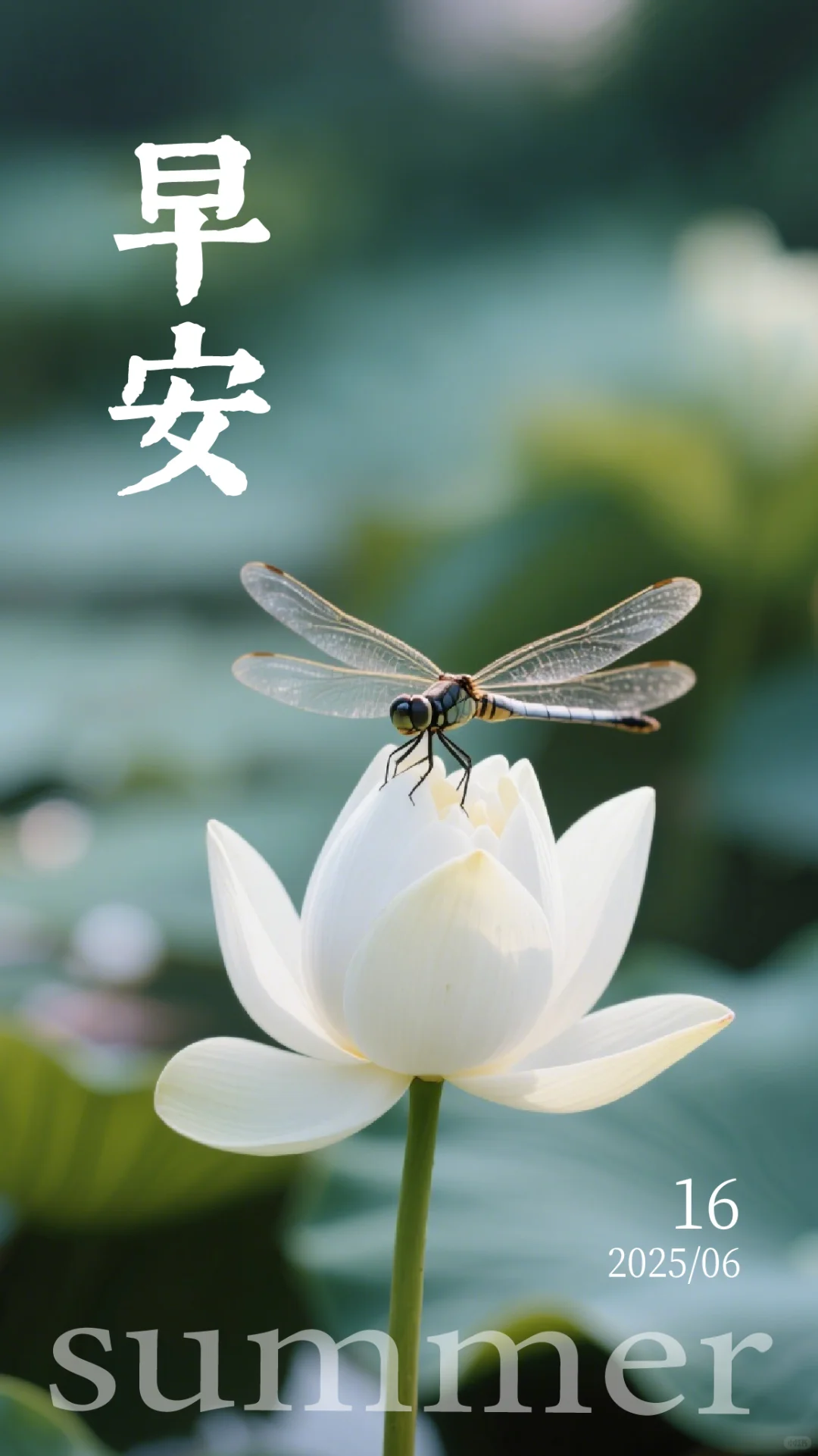 6月16日周一早安壁纸祝福