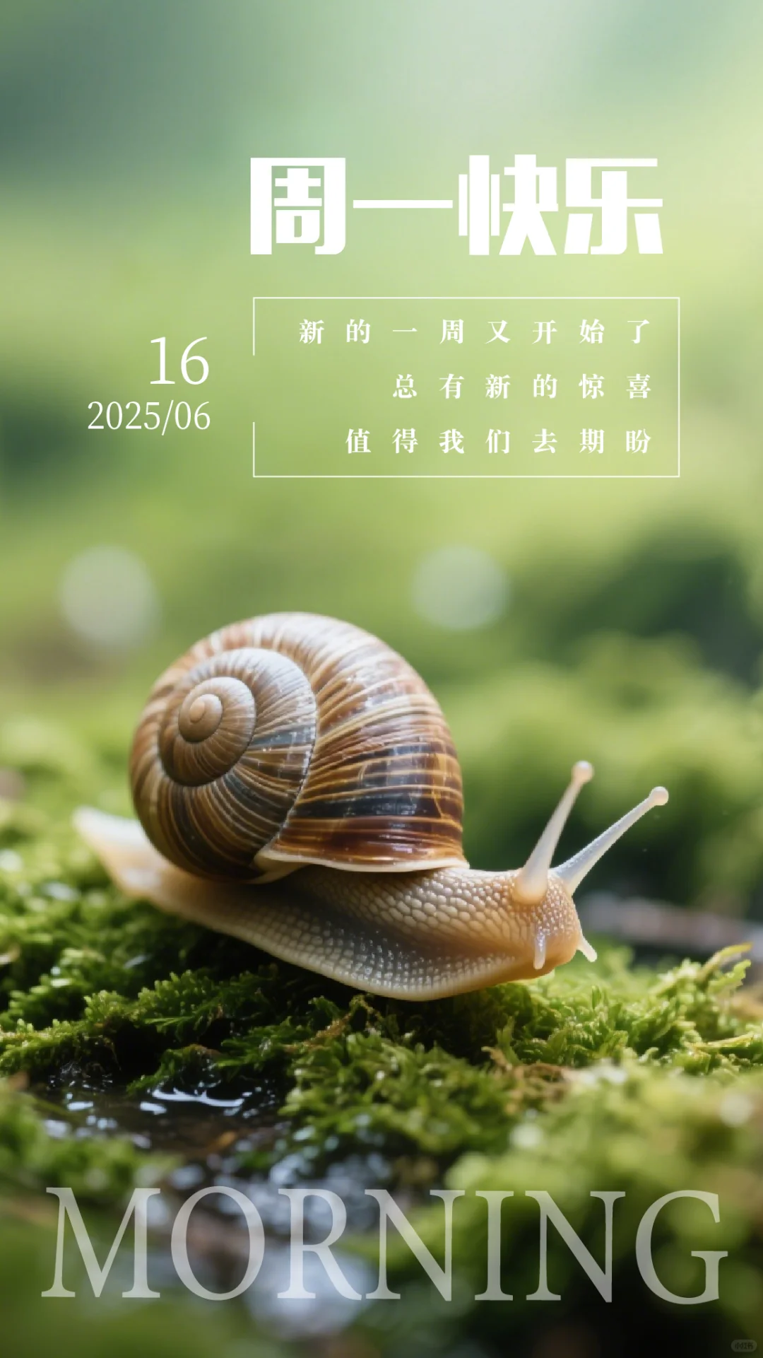 6月16日周一早安壁纸祝福