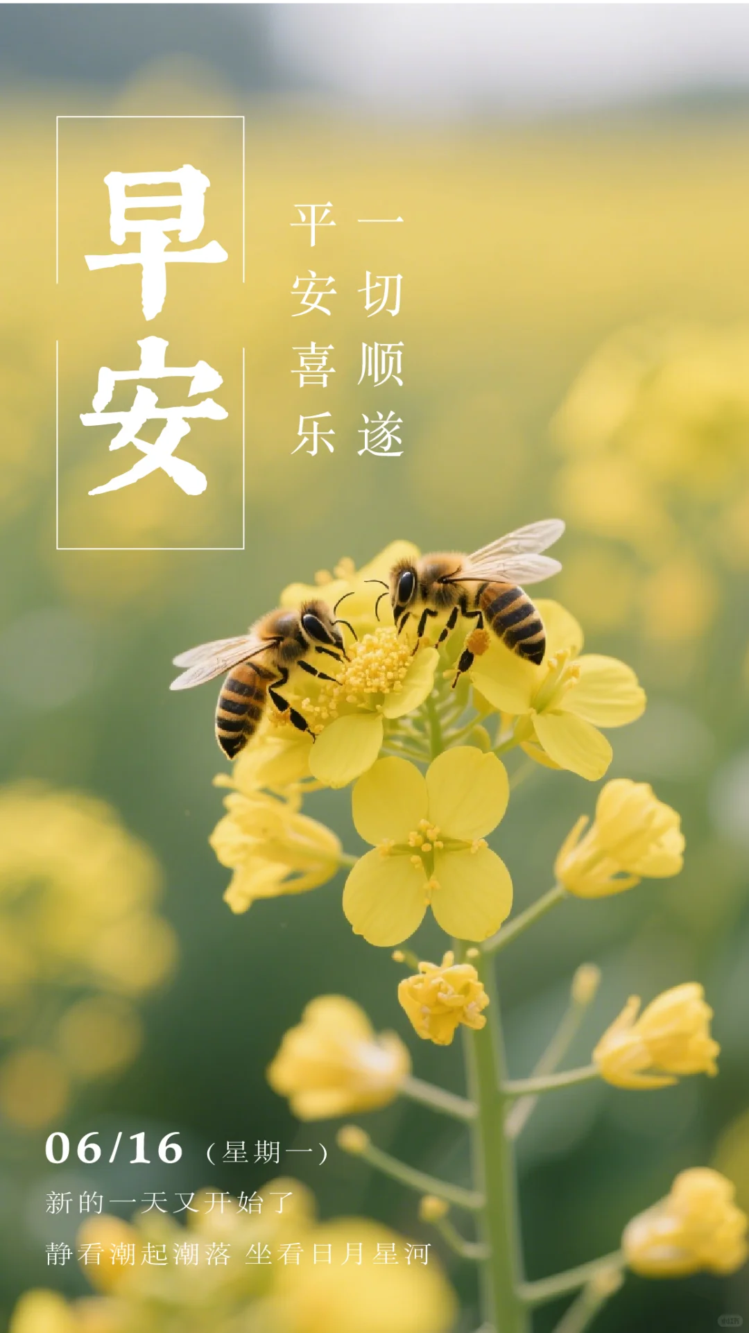 6月16日周一早安壁纸祝福