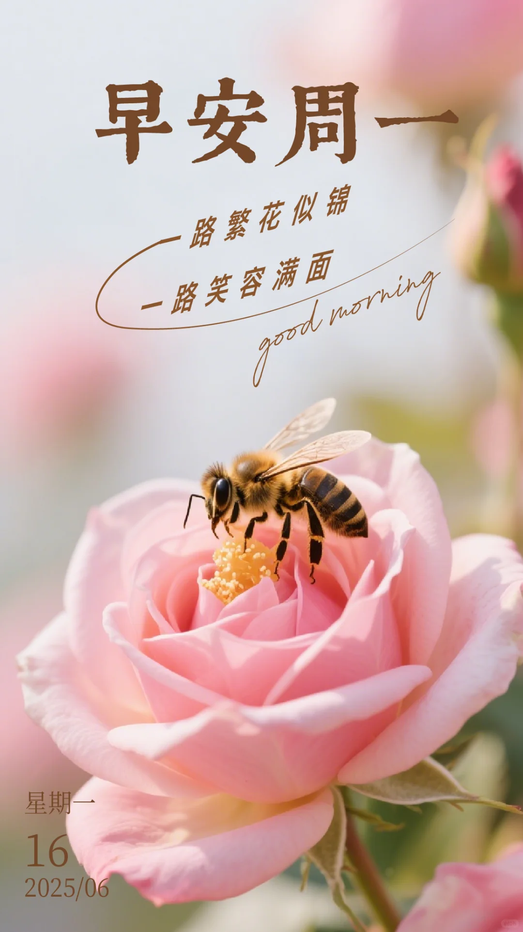 6月16日周一早安壁纸祝福