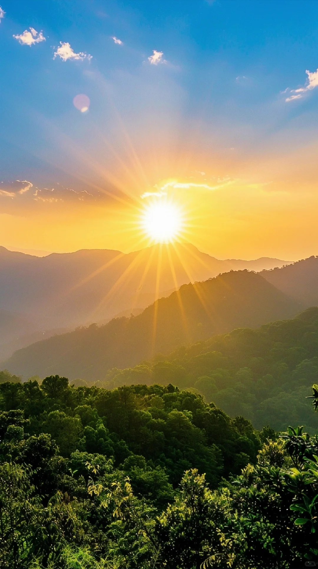 晨曦初现，日出的光芒温柔地洒满大地。