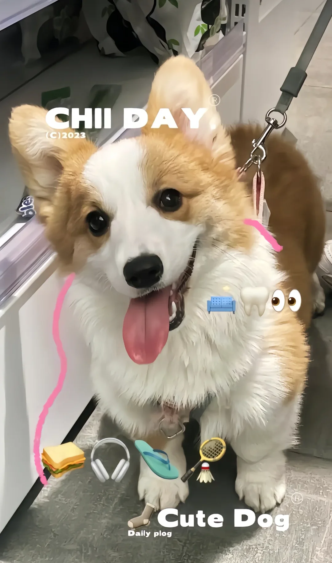今天的壁纸你喜欢吗