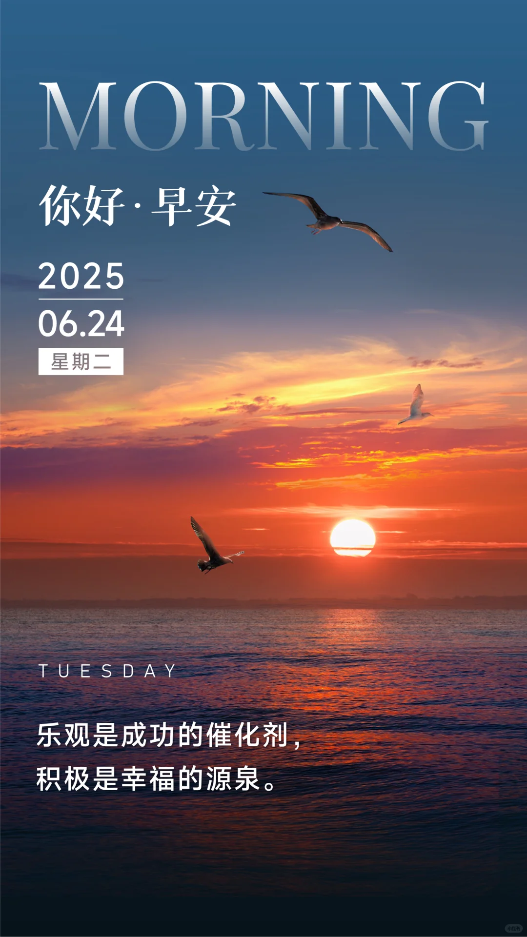 📄每日一签 No.52