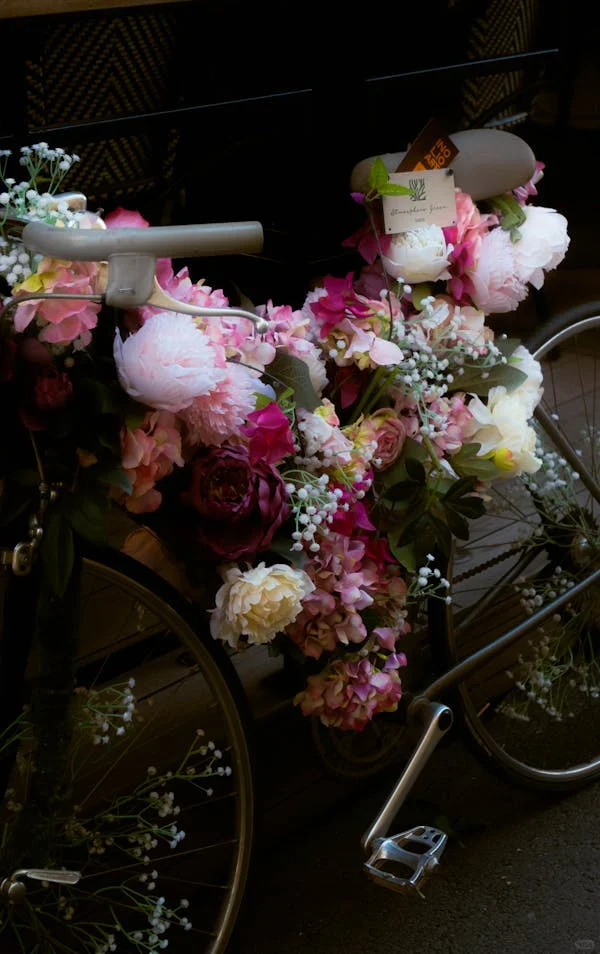 今日壁纸分享-Today's wallpaper sharing