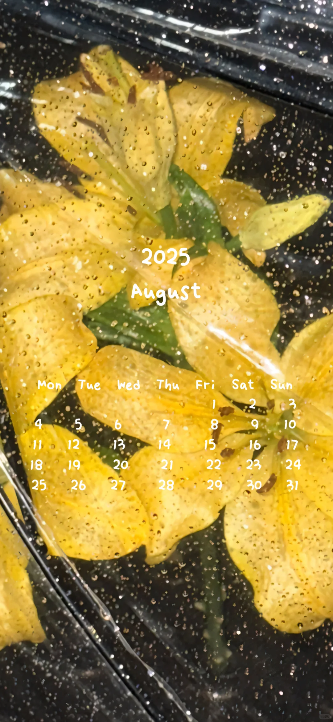 📆日历壁纸𝐒𝐡𝐚𝐫𝐞 ◡̈°｜潮湿的圣光